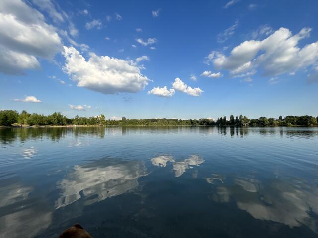 27 Binsfeld See Speyer  | Foto: Alexandra Rupp