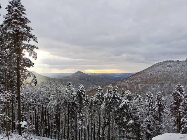 31 Aussicht vom Hermersberger Hof  | Foto: Ronnie Hammer