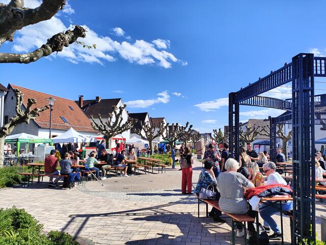 Umfrage zum Stadtimage | Foto: Stadtverwaltung Schifferstadt