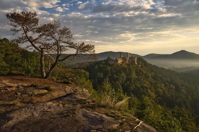53 Ein Blick auf die Burgruine Neudahn kurz nach dem Sonnenaufgang. | Foto: Alexander Böshans
