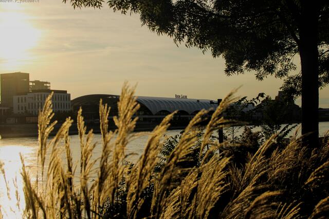 21 RheinGalerie Ludwigshafen vom Mannheimer Rheinufer fotografiert.  | Foto: Maren Rödelbronn