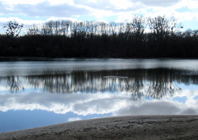 41 Spiegelung auf dem Willersinn im Goldgrund bei Maximiliansau | Foto: Corinna Grasmehr