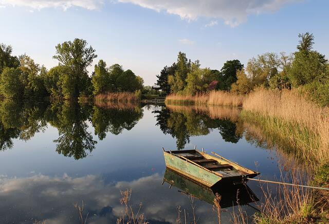 47 Abendstimmung am Großparthweiher Ludwigshafen | Foto: Claudia Dormeyer