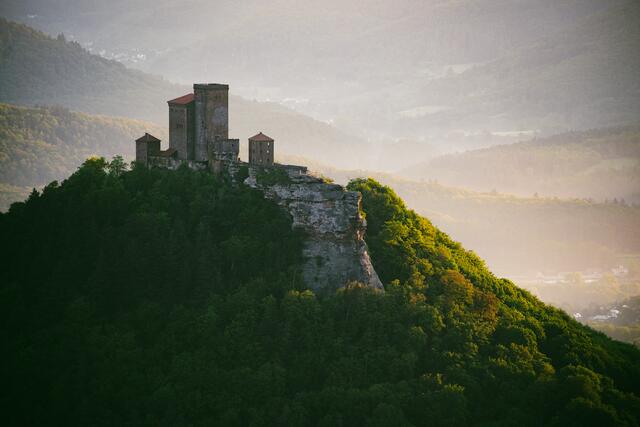 41 Sonnenaufgangsstimmung der Burg Trifels - Blick vom Rehbergerturm | Foto: Florian Bauer 