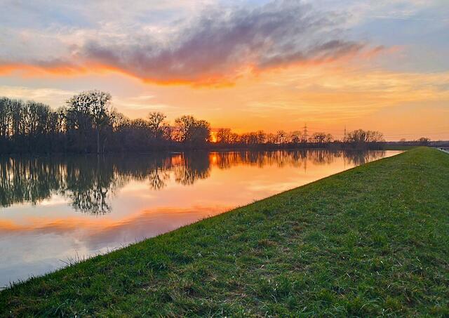 38 Hochwasser im Goldgrund bei Maximiliansau im Sonnenuntergang | Foto: Corinna Grasmehr