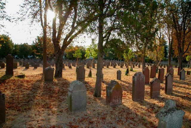 22 Morgenstimmung auf dem Jüdischen Friedhof in Wachenheim | Foto: Georg Dumont