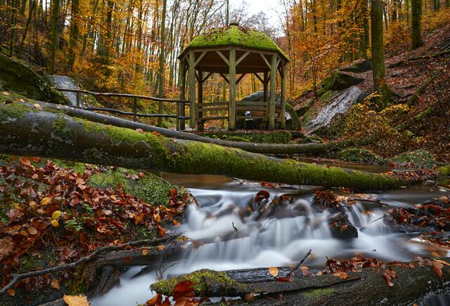 4 Das Karlstal bei Trippstadt ist zu jeder Jahreszeit eine Oase der Erholung | Foto: Manfred Riedel