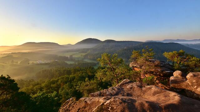 50 Sonnenaufgang am Sprinzelfelsen im Pfäler Wald | Foto: Jürgen Fischer