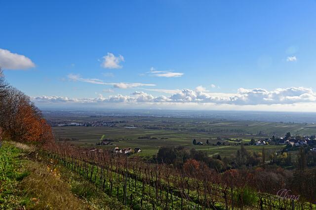 17 Blick vom Anaberg in die Rheinebene | Foto: Ilona Schäfer