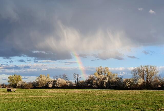 39 Regenbogen über dem Bruch bei Ungstein | Foto: Claudia Dormeyer