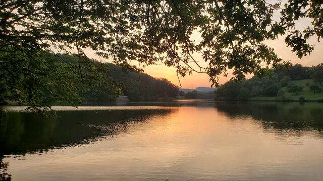 21 Ohmbachsee Gries 

30. August 2024, 19.59 Uhr | Foto: K. Bodenstedt 