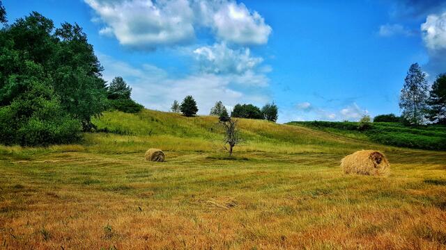 34 Wiese

Zwischen Lug und Spirkelbach  | Foto: Ronnie Hammer