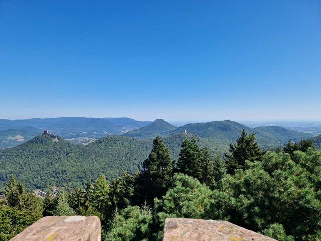 27 Trifels, Anebos und Münz (bei Annweiler) | Foto: Klaus-Peter Schäfer