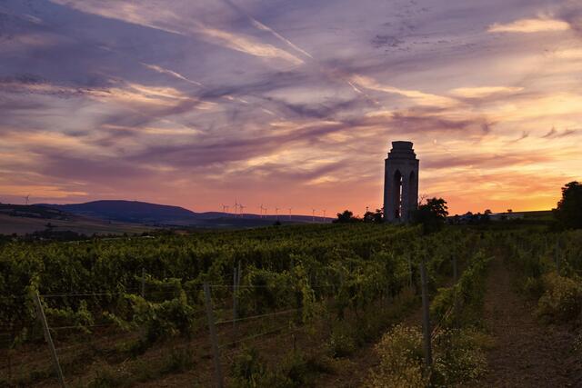 35 Sonnenuntergang im Zellertal | Foto: Aline Breitenbruch