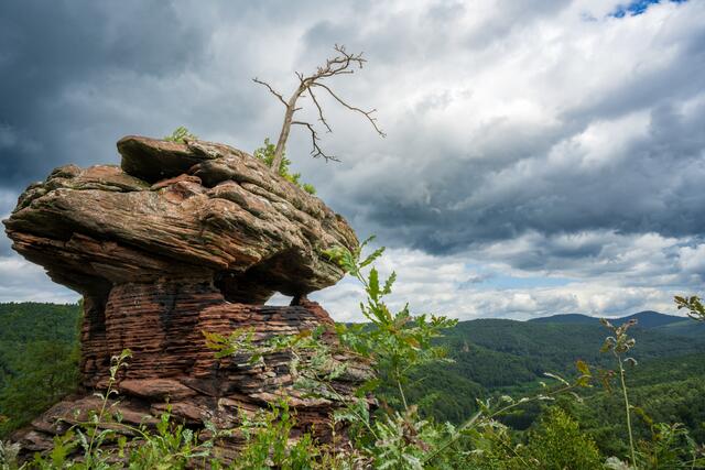24 Runder Hut bei Lug | Foto: Stefan Jung