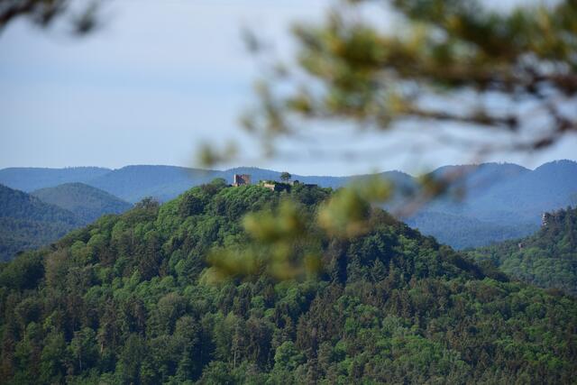 1 Blick auf die Lindelbrunn vom Rötzenfels oberhalb Gossersweiler | Foto: Marco Bettini