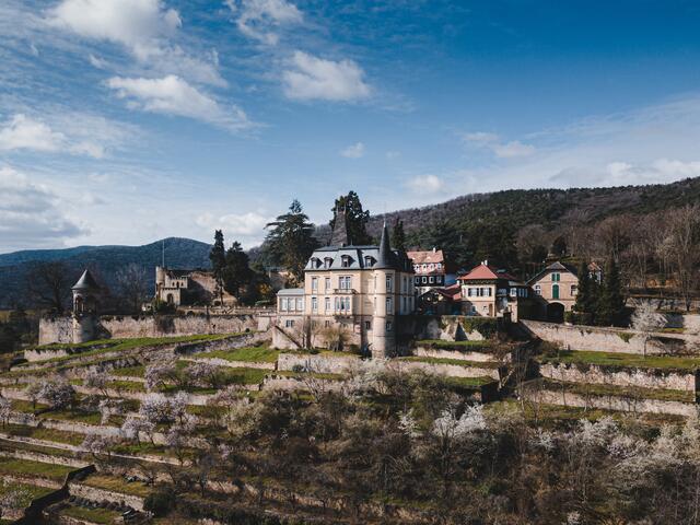 11 Haardter Schloss - Neustadt an der Weinstraße 2024 | Foto: Dominik Naumer