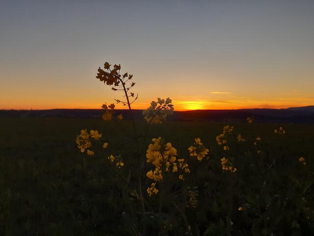 37 Sonnenuntergang am Nackterhof  | Foto: Anne Emmerich 