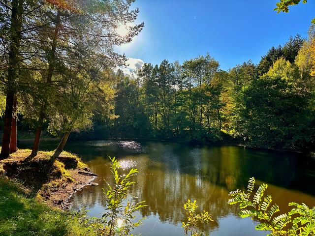 2 Seeblick

Zwischen Lug und Spirkelbach  | Foto: Ronnie Hammer
