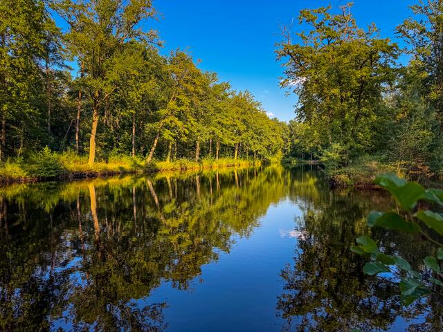 43 Panzergraben in Steinfeld | Foto: Jörg Colling