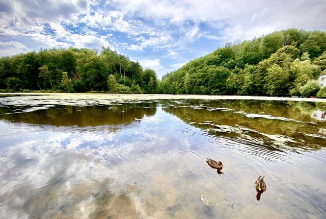 7 Idyllischer Eiswoog im Spätsommer | Foto: Alex Pfleger