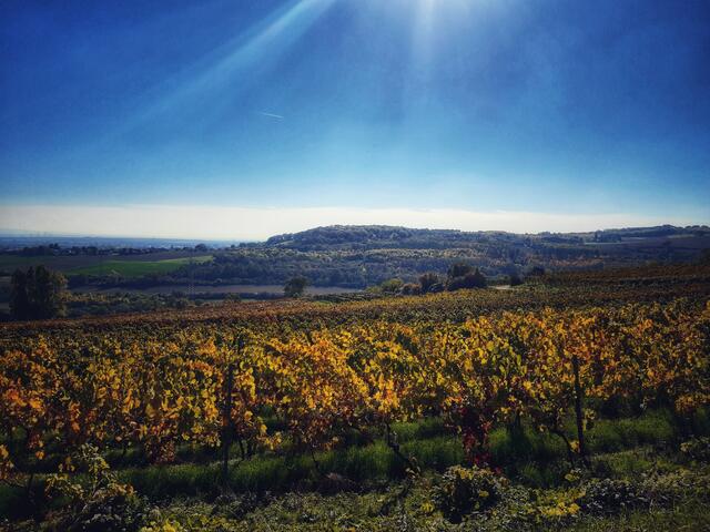 48 Die Sonne brennt  | Foto: Anne Emmerich 