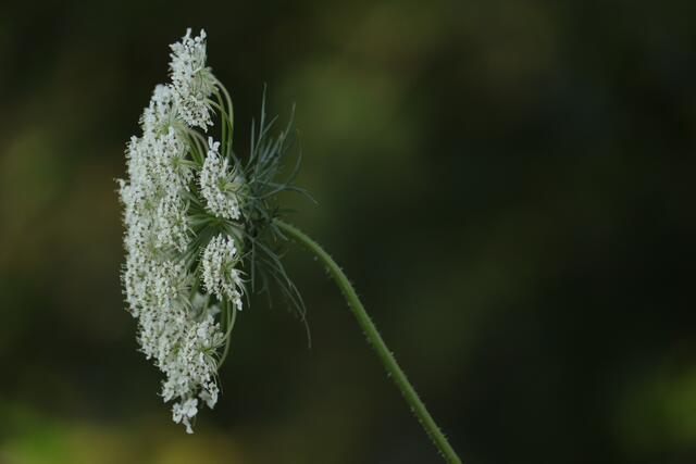 30 Richtungswechsel - Bürgerpark Mannheim | Foto: Victoria Weißberg
