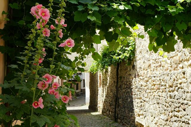 2 An der Stadtmauer entlang in Freinsheim | Foto: Sonja Weinhold