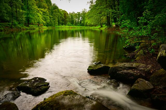 45 Hillschweiher bei Edenkoben | Foto: Katrin Scherr