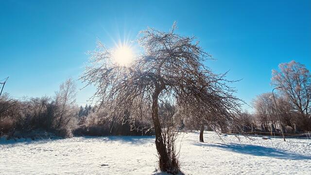 6 Winterfeld  hinterm Meiler in Trippstadt | Foto: Jessica Hamel