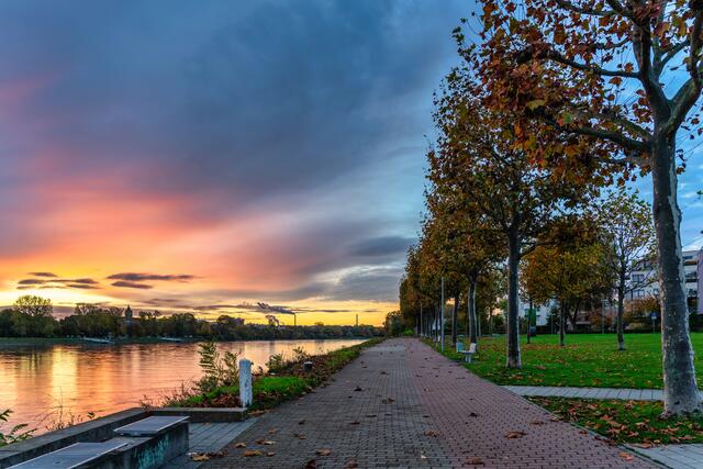 2 Das Erwachen der Sonne am Rheinufer in Ludwigshafen | Foto: Ralph Beetz