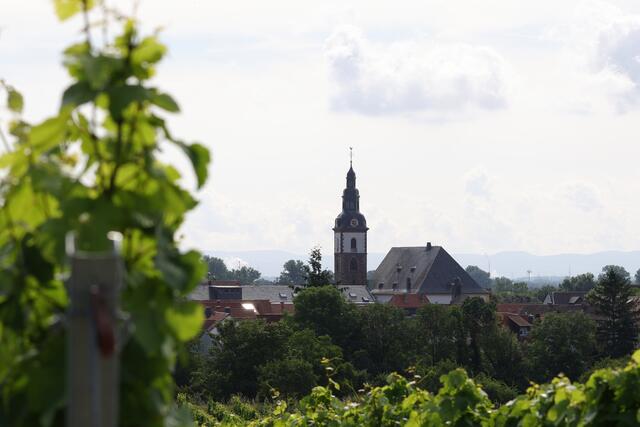 17 Simultankirche in Dirmstein  | Foto: Kirsten Löffler