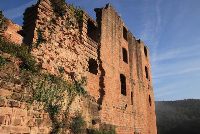 27 Detailansicht der Burgruine Frankenstein Pfalz | Foto: Do Hamm