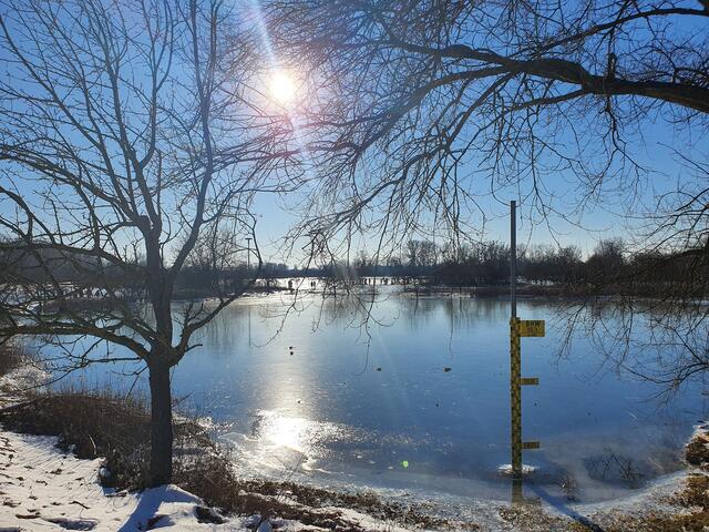 26 Eine natürliche Eislaufbahn in Neuburg am Rhein | Foto: Iris Hutzel