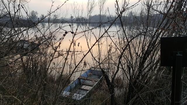 23 Die Stille am Morgen in Neuburg am Rhein | Foto: Iris Hutzel