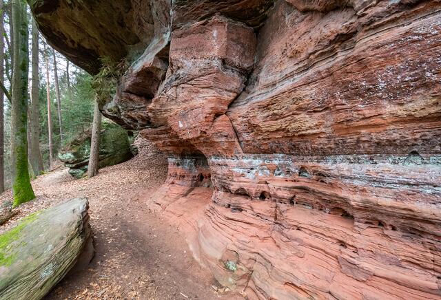 35 An der Schillerwand bei Pirmasens | Foto: Wilfried Glauber
