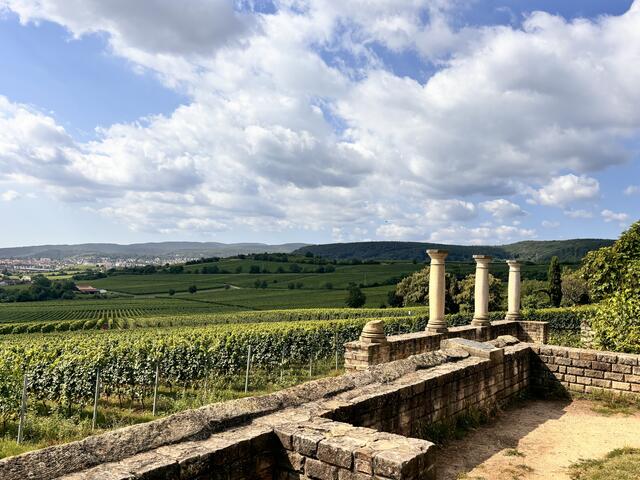 12 Römisches Weingut Weilberg | Foto: Dominik Halkenhäuser