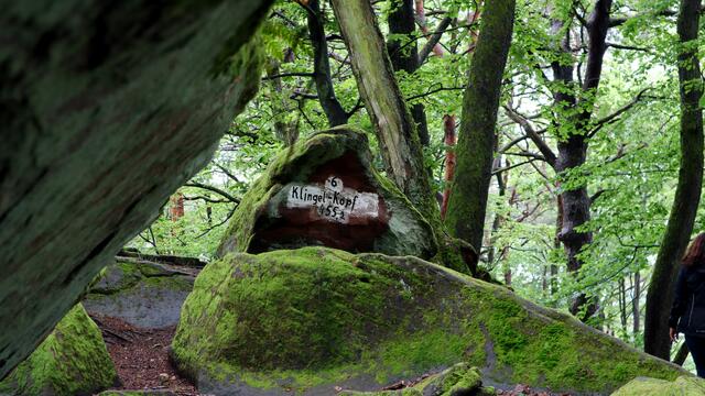 41 Spirkelbach | Foto: Michael Schüler