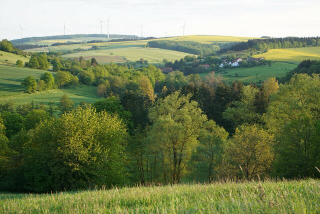 50 Spaziergang über Schiersfelder Felder, Schiersfeld | Foto: Nova Cosma Lubka-Kaminski
