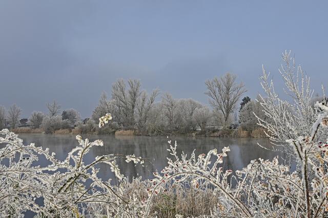 20 Großparthweiher, Ludwigshafen | Foto: Ilona Schäfer