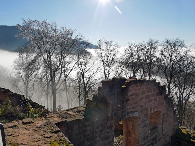 30 Burgruine Meisterseel | Foto: Hanne Wolff