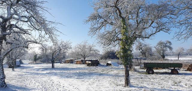 39 sonniger Wintermorgenspaziergang in Neuburg am Rhein | Foto: Iris Hutzel