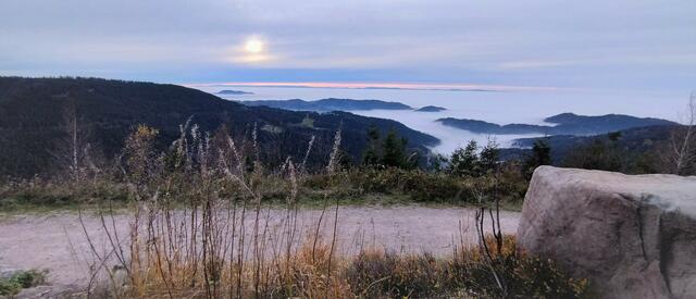23 Blick auf das Nebelmeer (bei Ruhestein) | Foto: Isabel Linn-Rothhaar
