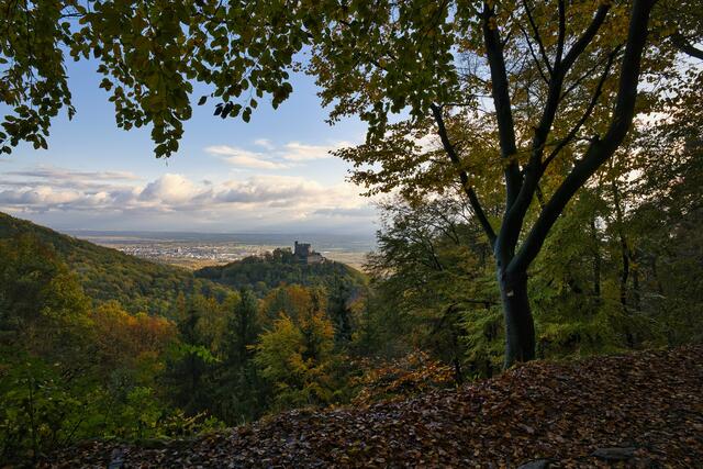 32 Blick auf das Hambacher Schloss | Foto: Alexander Böshans