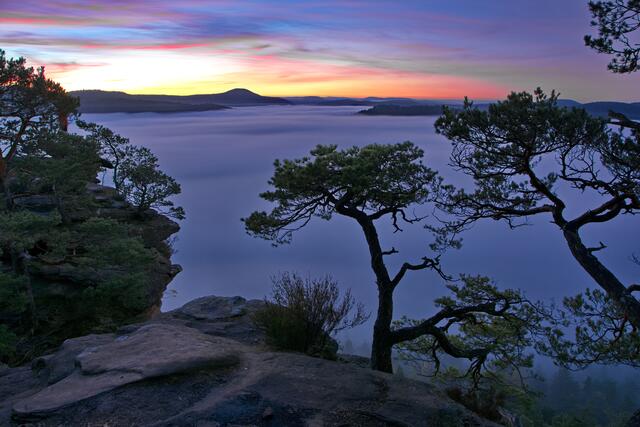 41 Nebelmeer am Schlüsselfels bei Busenberg | Foto: Claus Wieland