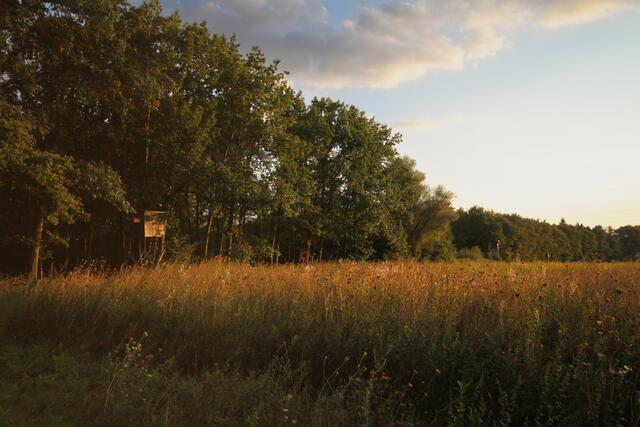 51 Das Herxheimer Wiesental in der Abendsonne. September 2024 | Foto: Katharina Jochim