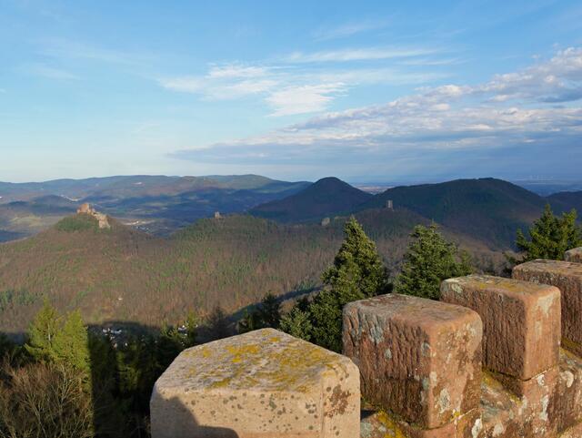 22 Trifelsblick vom Rehberg aus | Foto: Hanne Wolff