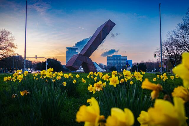28 Die Große Mannheimerin | Foto: Thorsten Hetterich