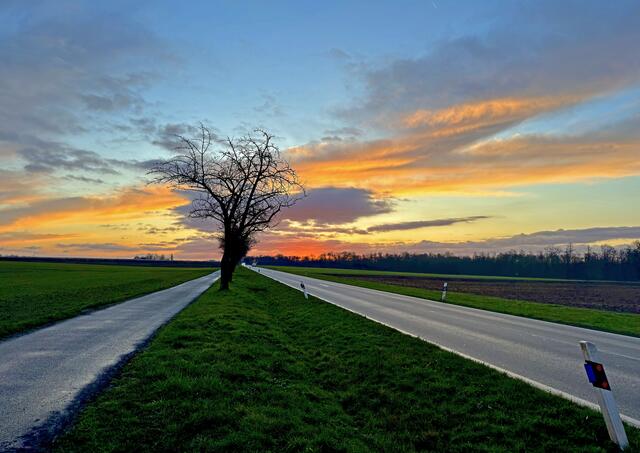40 Sonnenaufgang an der Landstraße bei Rohrbach | Foto: Corinna Grasmehr