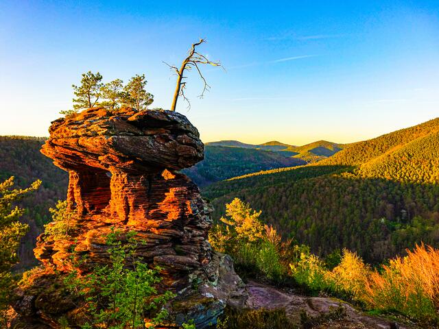 12 Blick vom Runden Hut bei Wernersberg in den Pfälzer Wald  | Foto: Marco Burkard